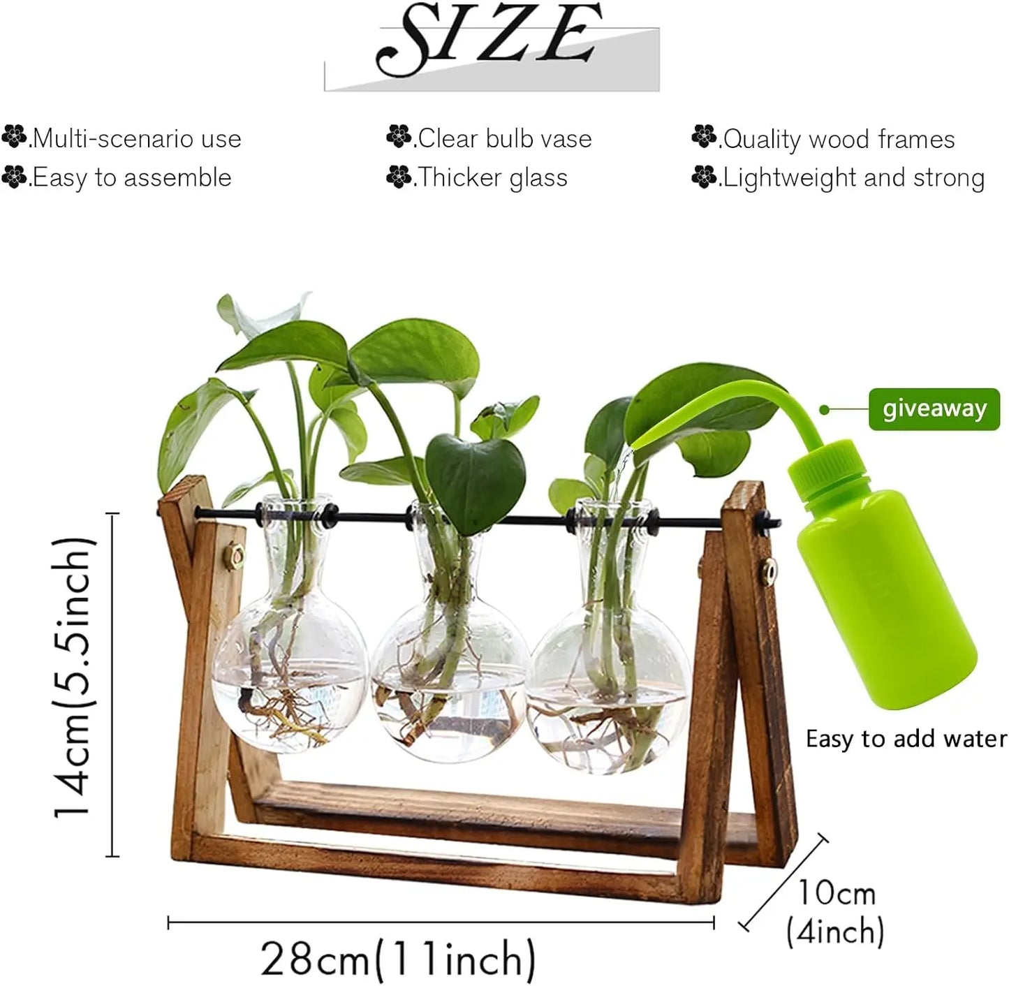 Plant Terrarium with Wooden Stand